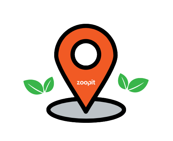 rute zoopit